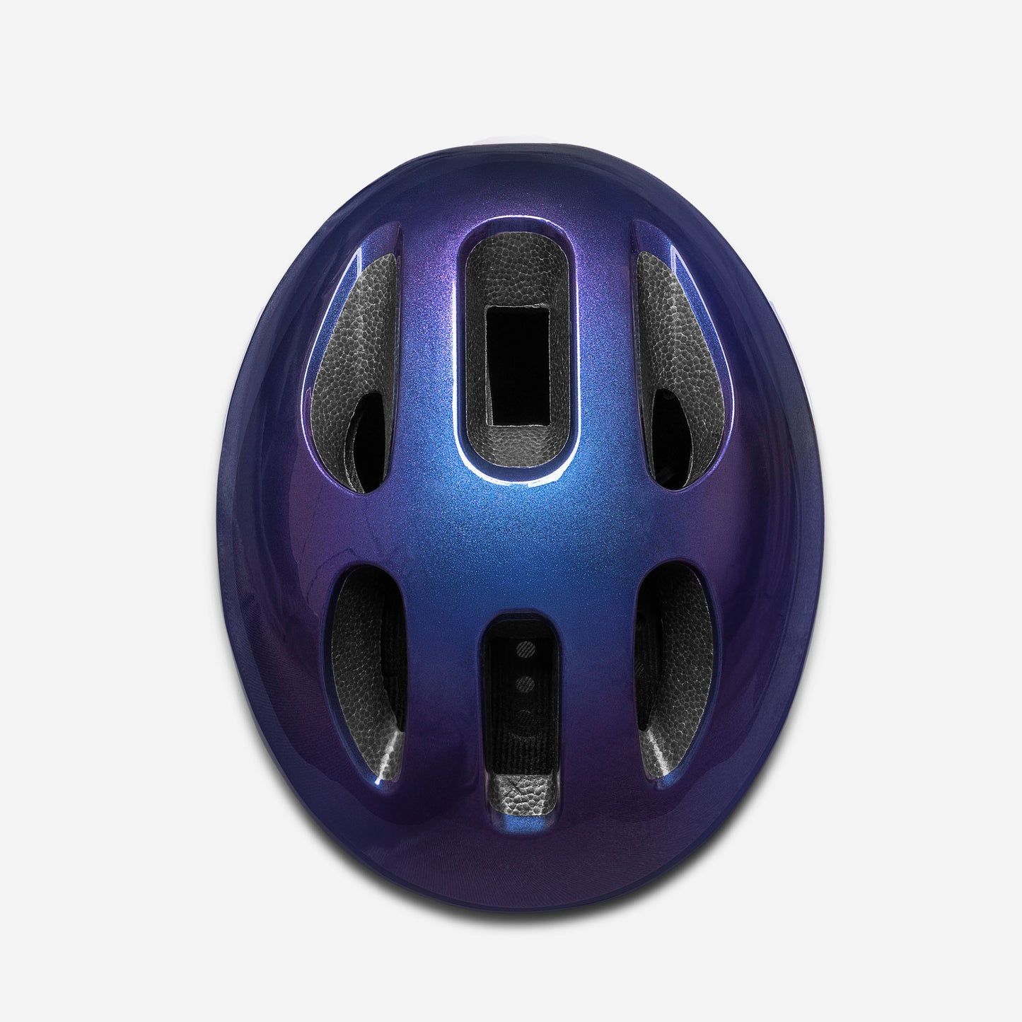 Movino Eclipse (chameleon)
